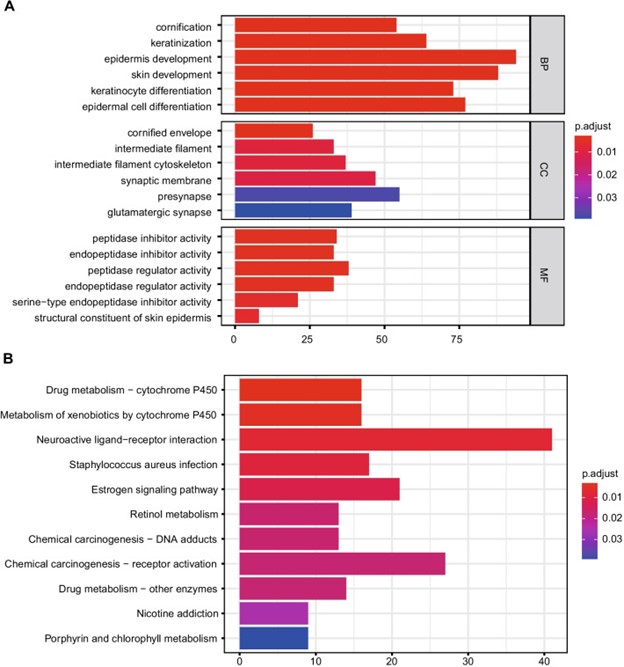 【佳学基因检测】非小细胞肺癌转移风险基因检测模型的建立与验证